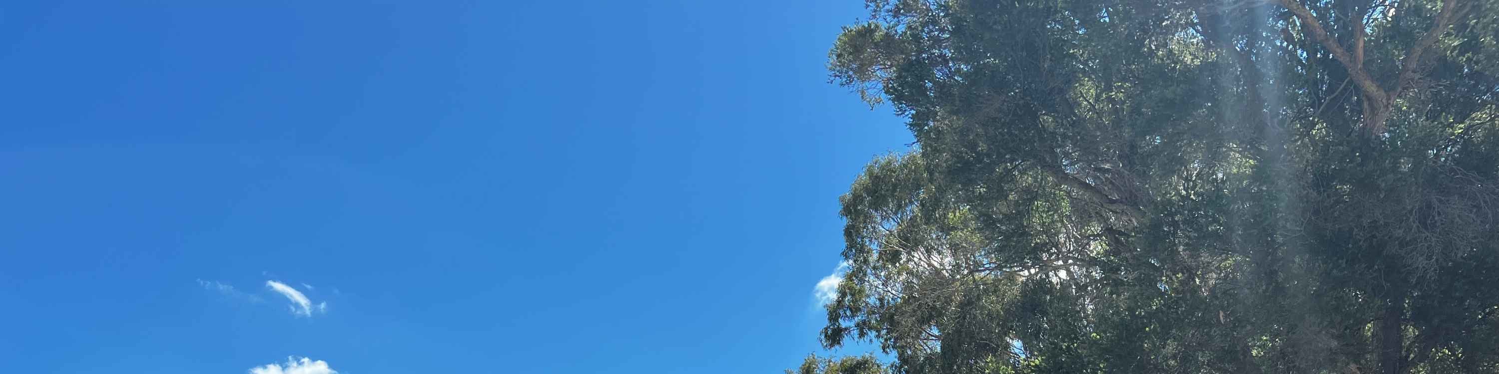 獵人谷（Hunter Valley）美酒、巧克力品嚐和午餐全包遊