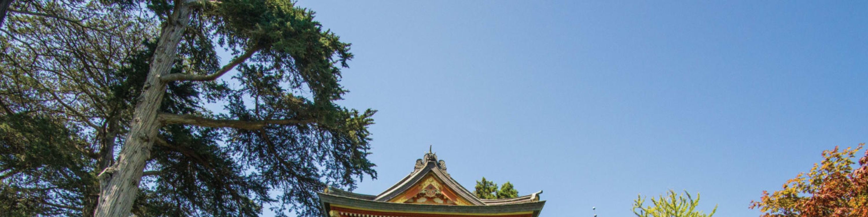 舊金山隨上隨下觀光巴士（2日）＆惡魔島之旅