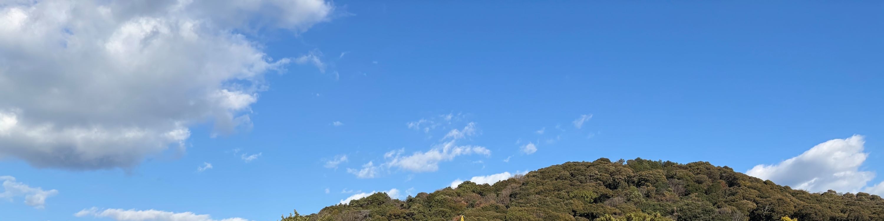 期間限定 淀川背割堤樱花祭  | 漫步1.4km櫻花隧道・宇治・勝尾寺・箕面大瀑布 