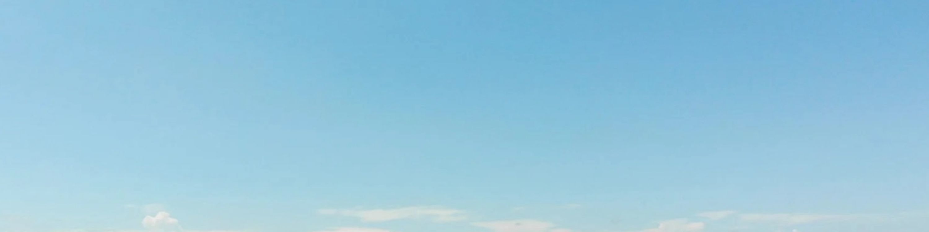 基韋斯特海豚觀賞遊船和浮潛體驗