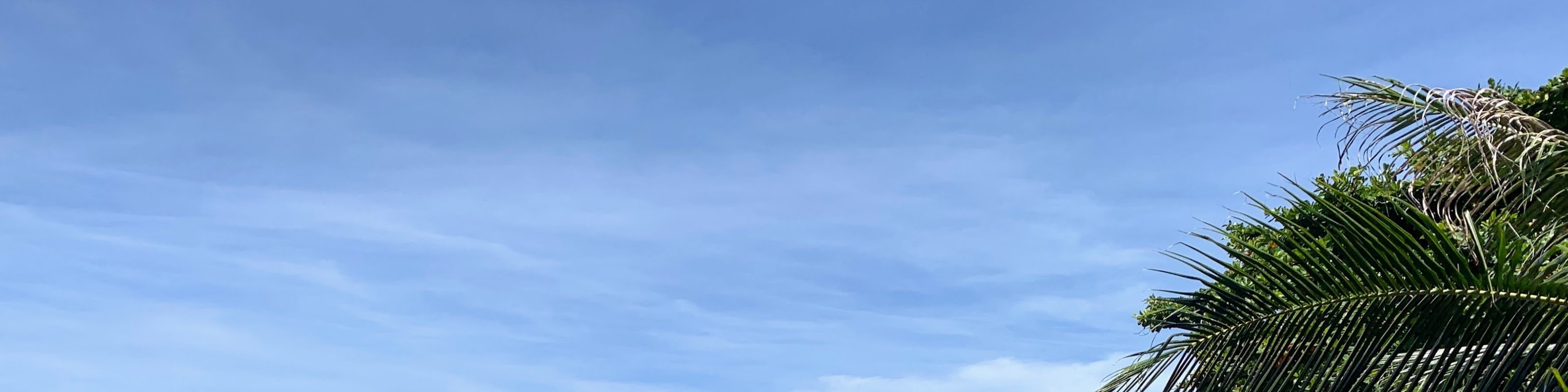 從帕岸島出發的濤島和南園島高級浮潛之旅