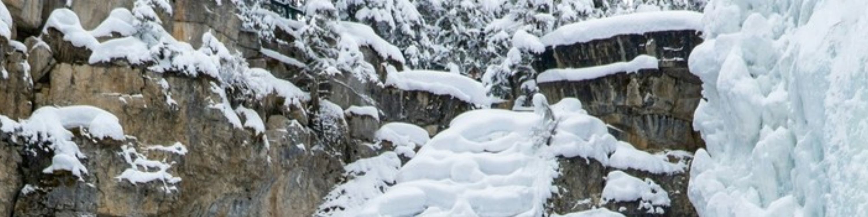 班夫強斯頓峽谷之旅 (Johnston Canyon Tour in Banff)