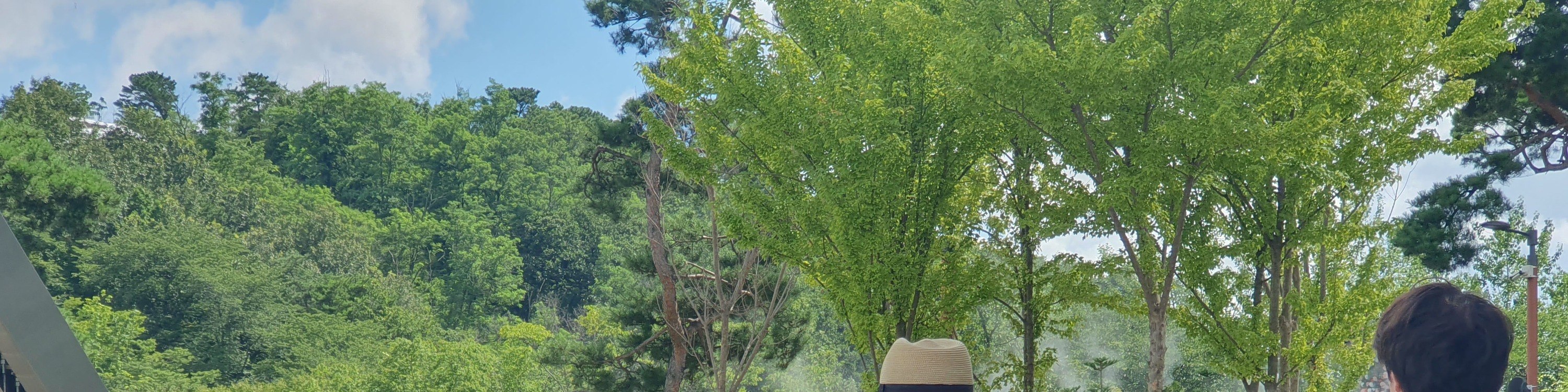 持證專業導遊將陪同您參觀鳥瞰臺，為您講解朝鮮戰爭的歷史以及半島的分裂。