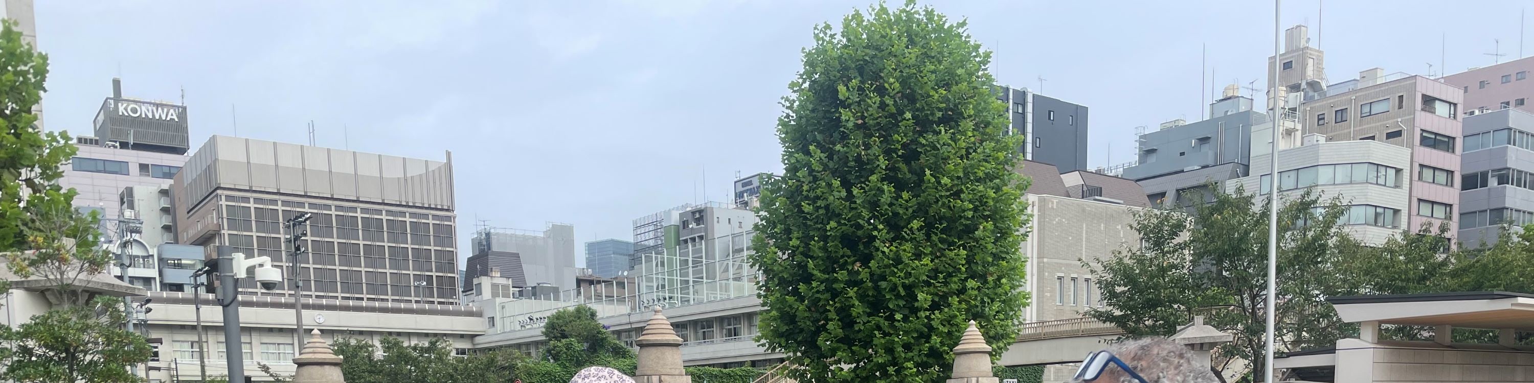 東京築地魚市場私人美食之旅