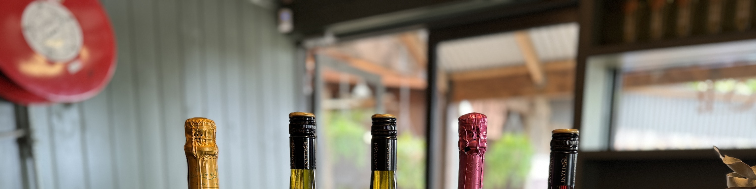 莫寧頓半島風景觀光和酒莊之旅