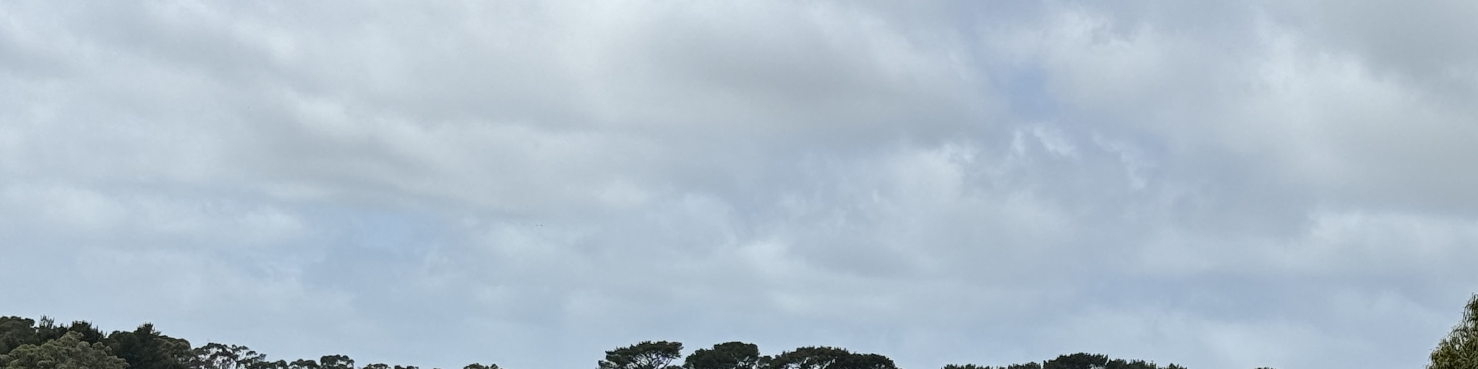 莫寧頓半島風景觀光和酒莊之旅