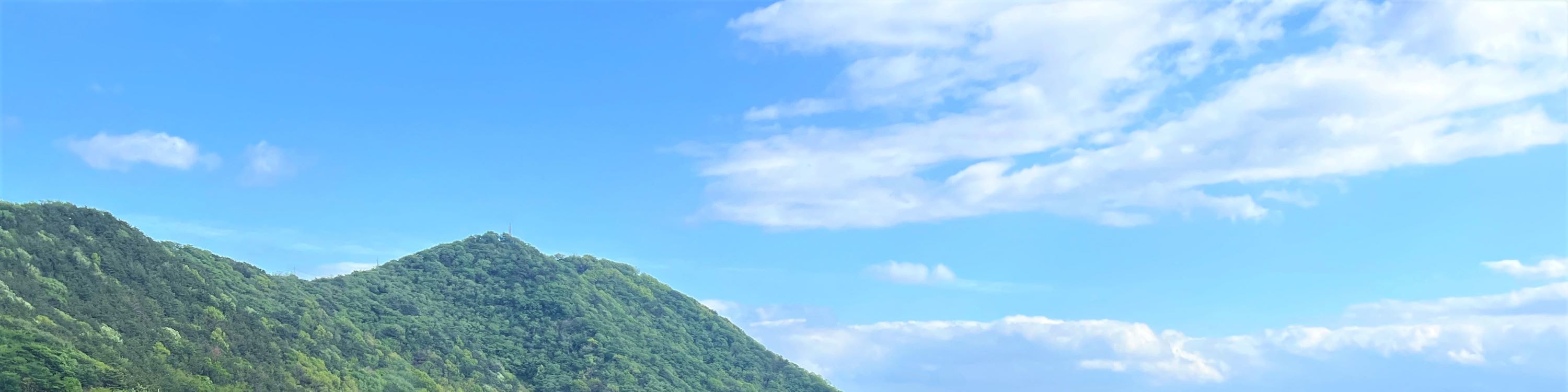 釜山小團一日遊（最多6人）