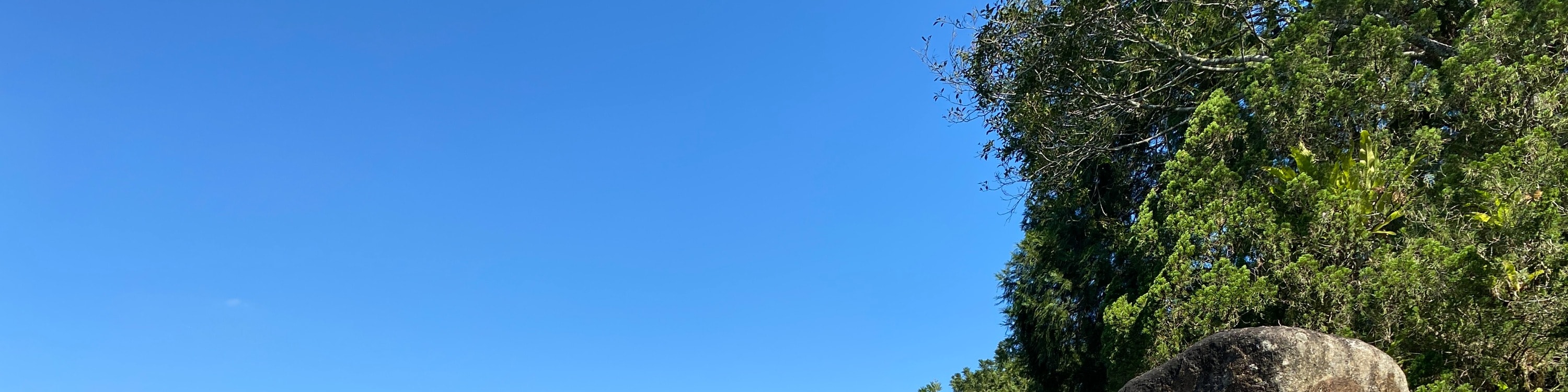 南投日月潭一日遊（含船票）