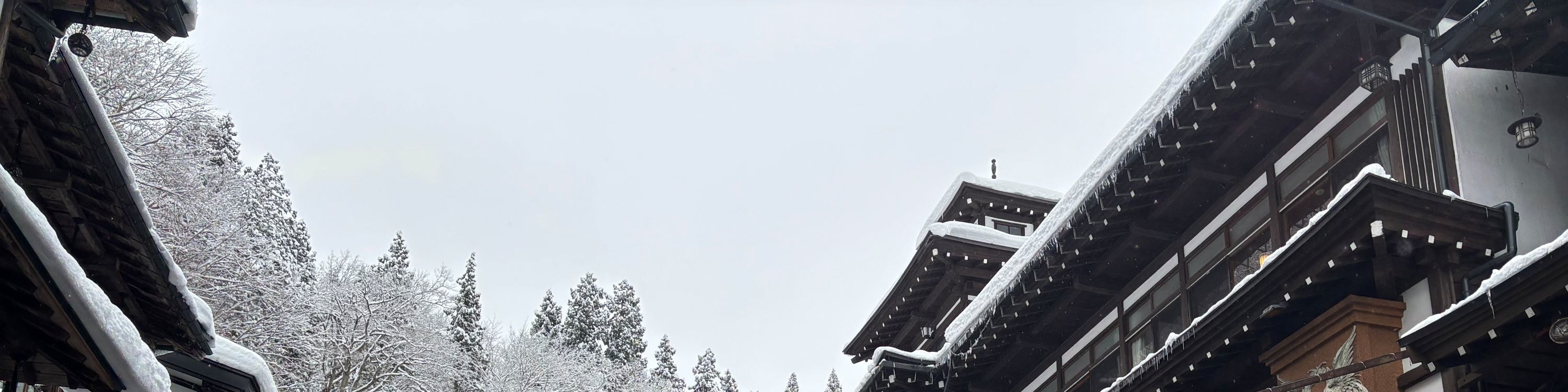 冬季大雪飄落的美景,彷彿進入夢幻的國度 冬季大雪飄落的美景,彷彿進入夢幻的國度