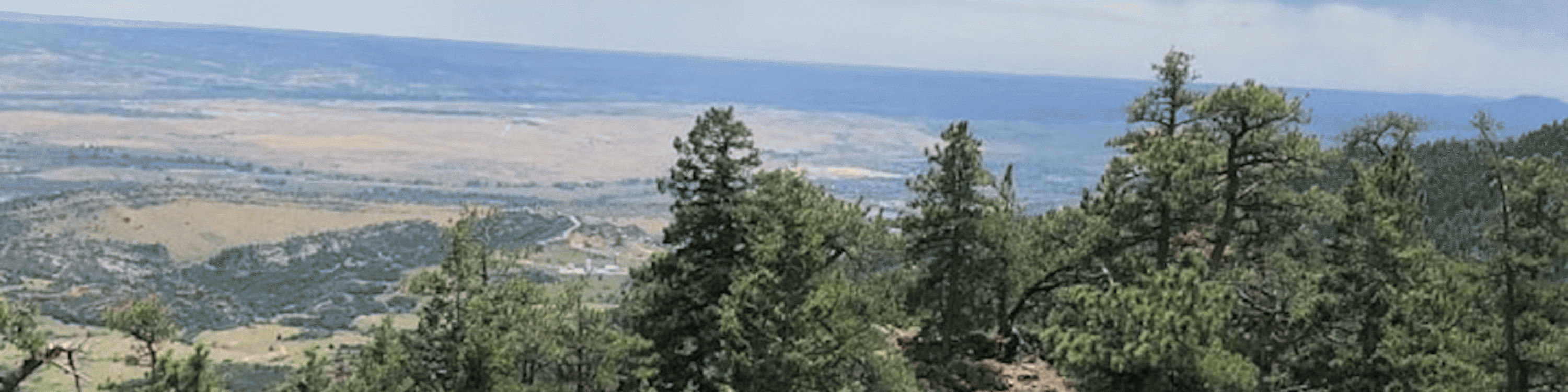 在交易站步道 (Trading Post Trail) 欣賞科羅拉多州 (Colorado) 的美景 在交易站步道 (Trading Post Trail) 欣賞科羅拉多州 (Colorado) 的美景