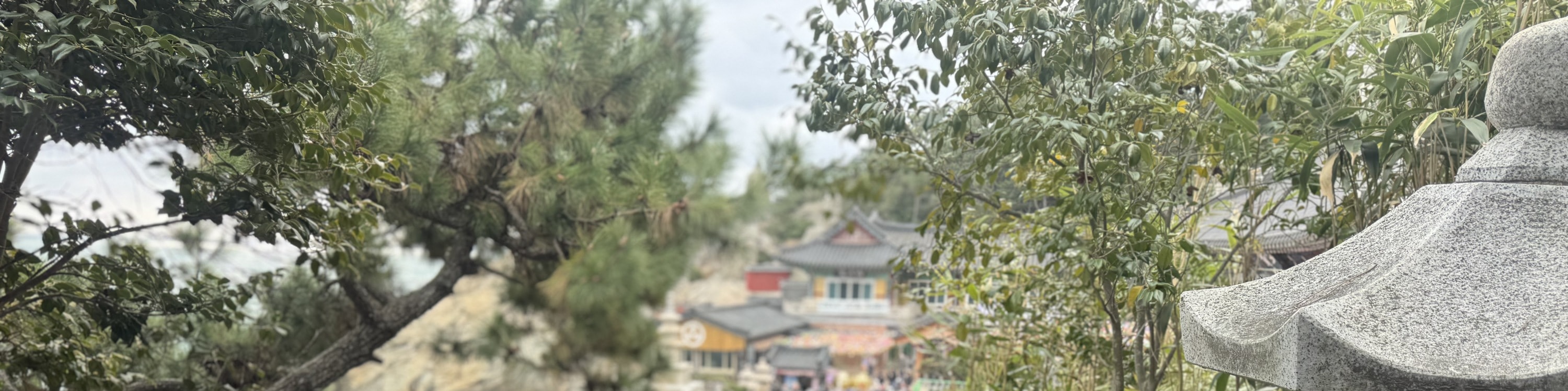 行程：海東龍宮寺 - 青沙浦墊腳石展望台 - 海雲台藍線公園青沙浦站 - 聯合國紀念公園 - 甘川洞文化村