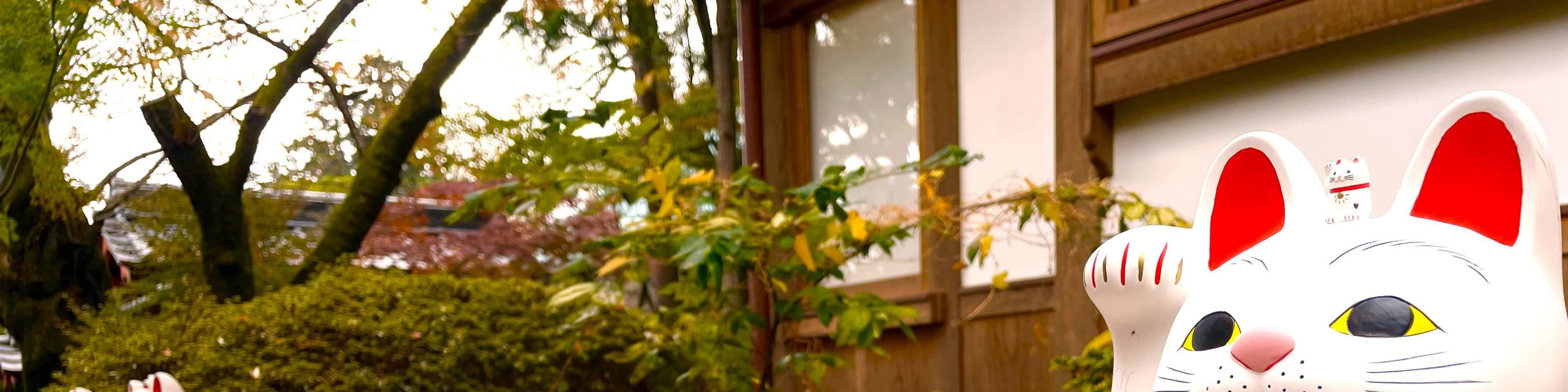 Tokyo Cat Cafe & Gotokuji Temple Half-Day Tour - Thumbnail 39