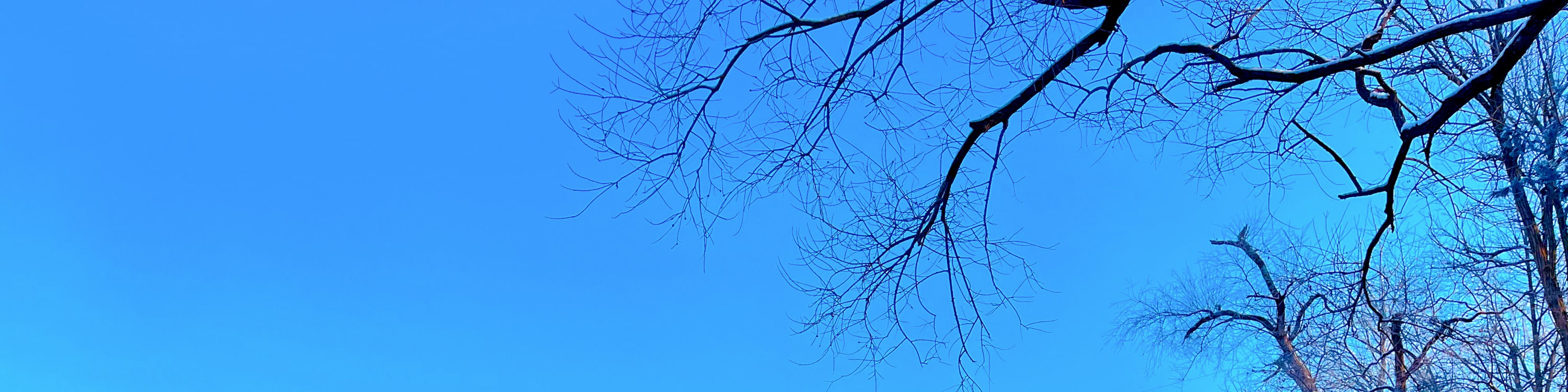 湛藍天空與閃耀白雪相互輝映，將南怡島 (Nami Island) 的冬日仙境完美呈現。