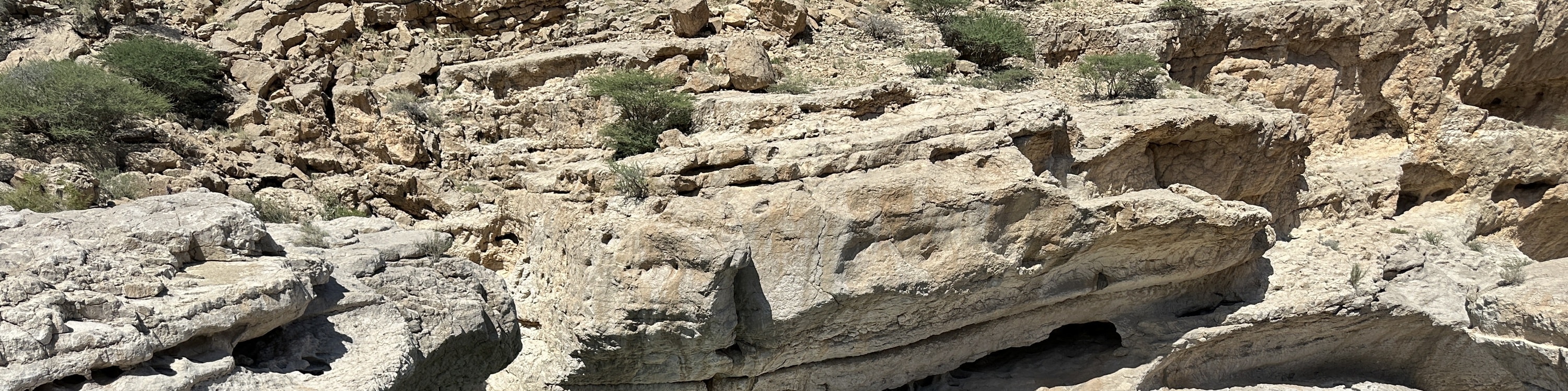 Wadi Bani Khalid & Wahiba沙漠之旅