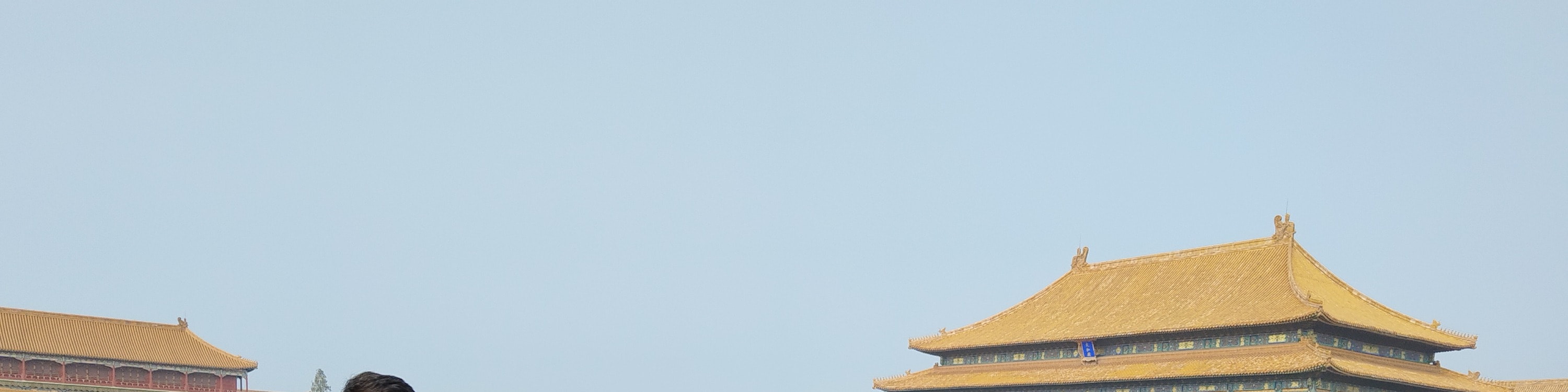 Forbidden City and Royal Treasure Museum Half Day Tour (8:30am)