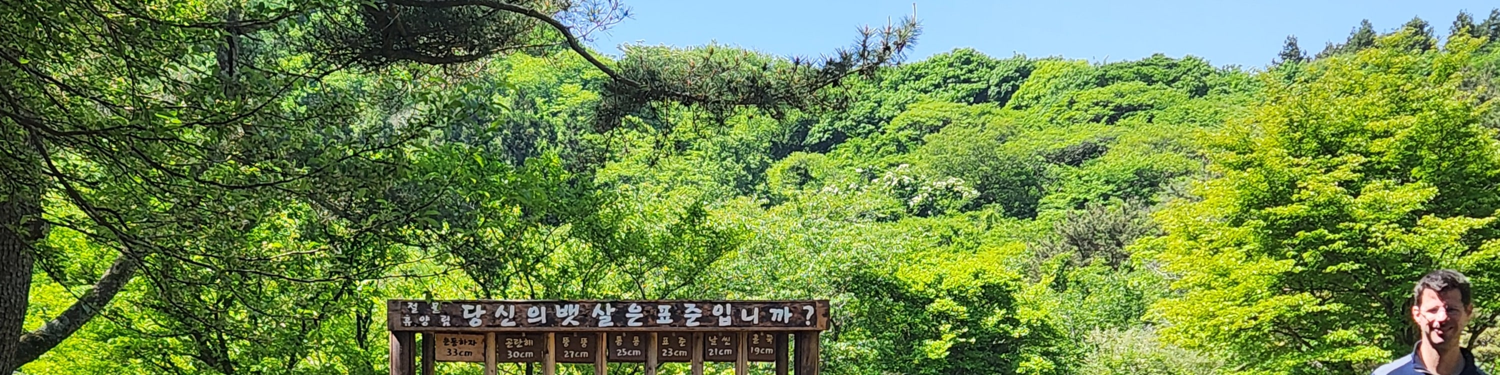 濟州島一日遊（含門票＆午餐）