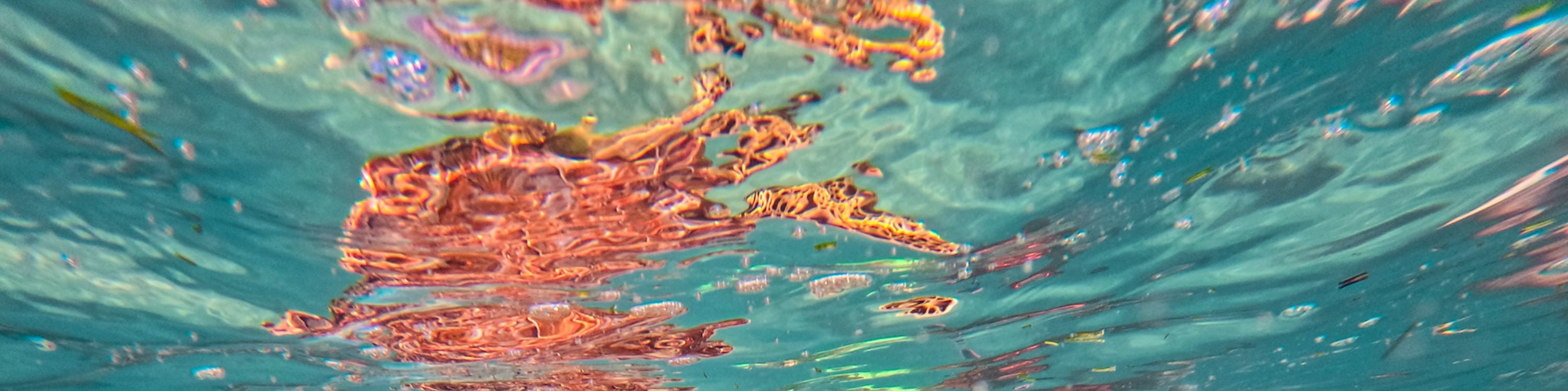 Tulum & Coba Maya Ruins Tour with Cenote Swim & Snorkels in Mexico