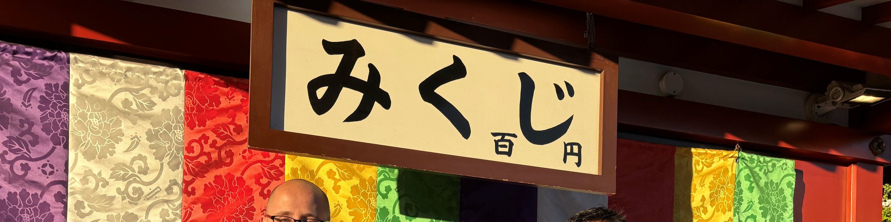 Asakusa: 3.5-hour Big-picture History Walk - Thumbnail 14