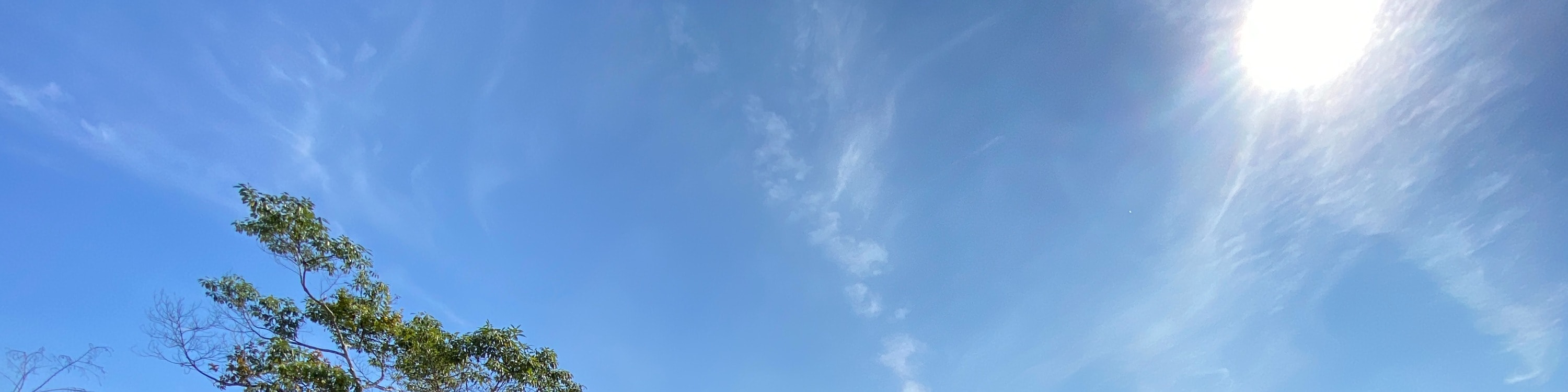 南投日月潭一日遊（含船票）