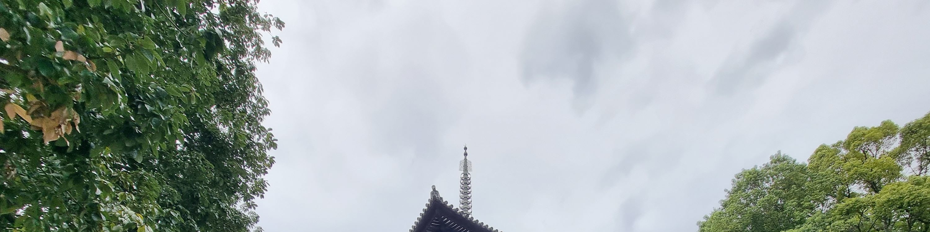 Nara World Heritage PRIVATE TOUR（Autumn leaf season）