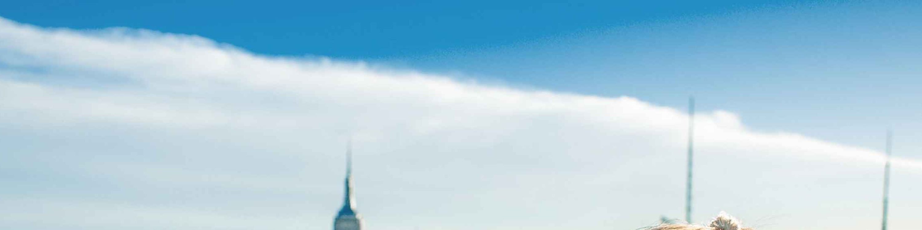 Woman admires New York skyline from Top of the Rock with Empire State Building view