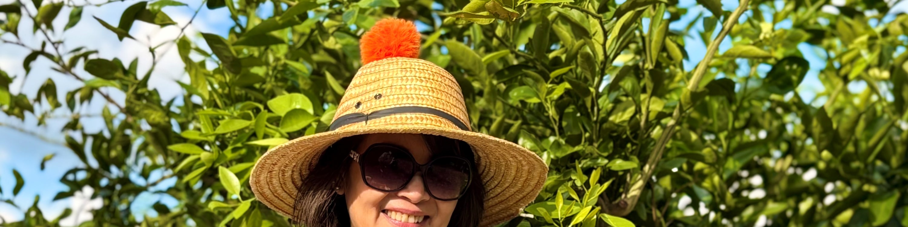 您可以參加8月至11月期間的橘子咖啡廳採摘體驗（因農場工作關閉時，將更換為胡蘿蔔咖啡廳，不含咖啡廳消費）。