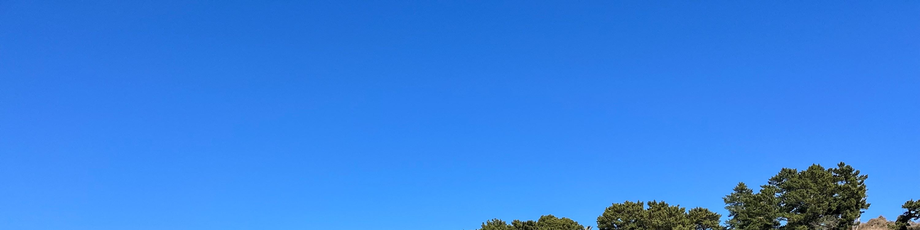 濟州賞櫻及草莓採摘小團一日遊
