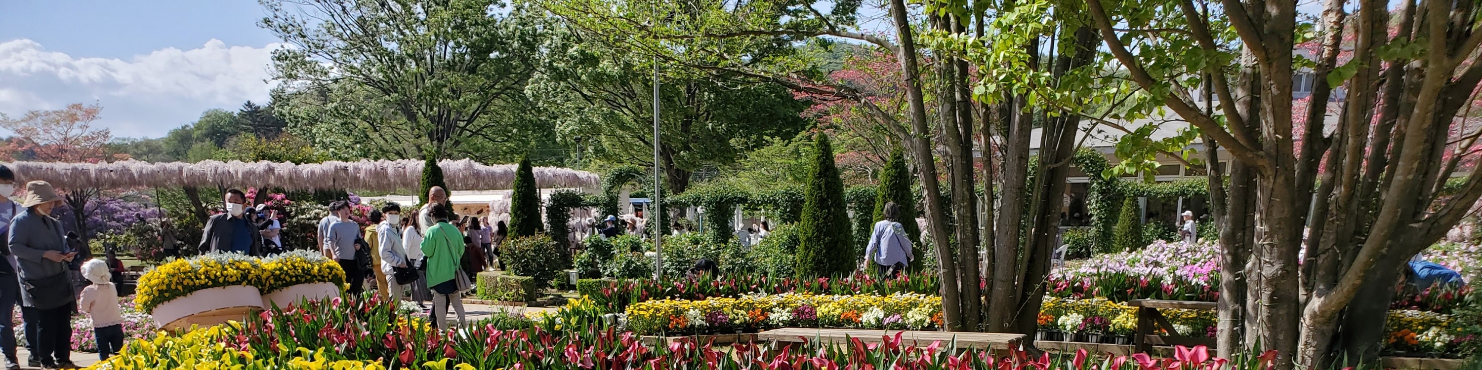 從新宿出發的足利花卉公園和日立海濱公園一日遊