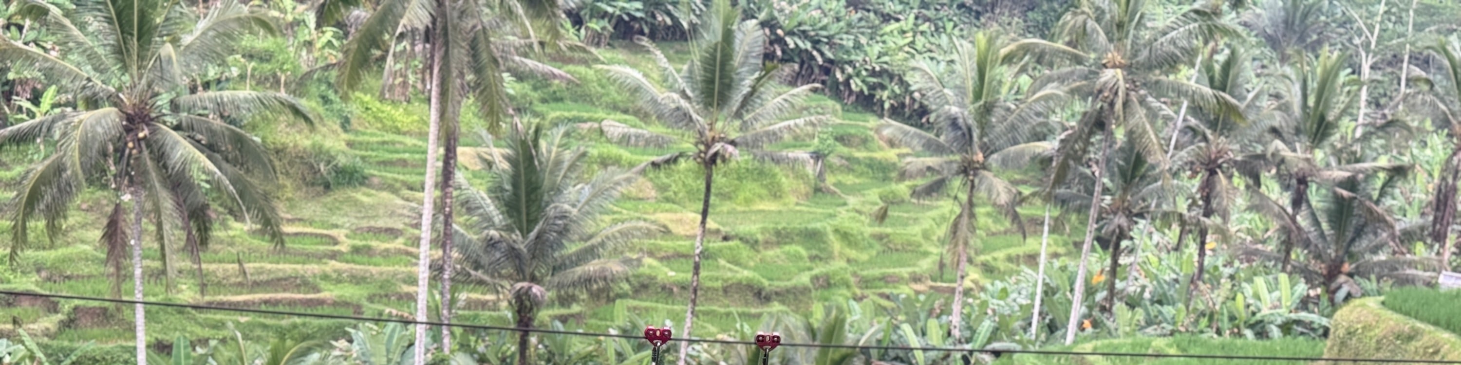 與您的伴侶、朋友或孩子一起騎著雙人空中自行車,感受在空中騎行的刺激 與您的伴侶、朋友或孩子一起騎著雙人空中自行車,感受在空中騎行的刺激
