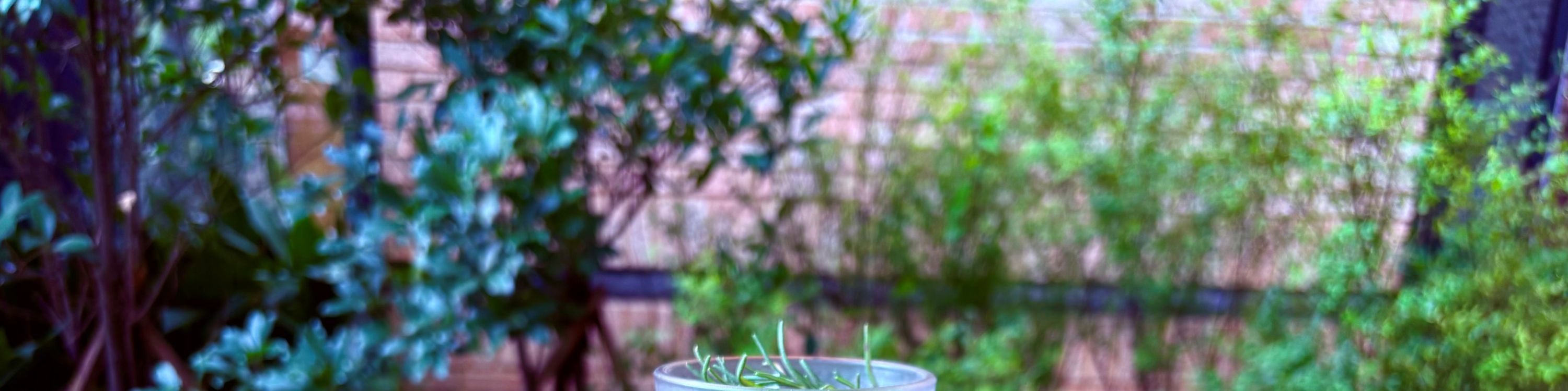 在O'Sulloc或Innisfree Café以大自然為靈感的室內空間，享用抹茶拿鐵或抹茶冰淇淋，享受完美的治癒時刻。