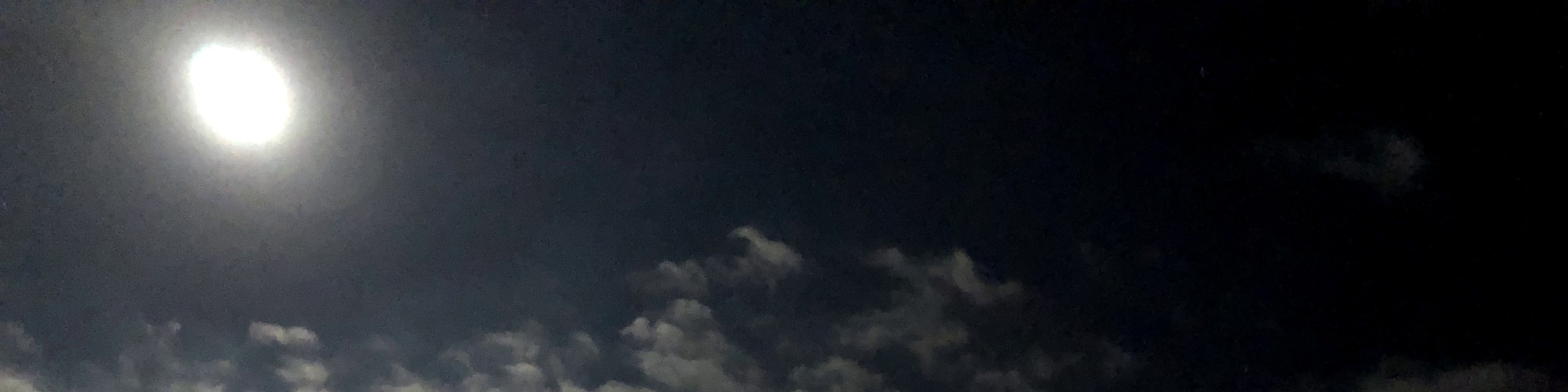 石垣島夜間觀星遊輪巡航體驗