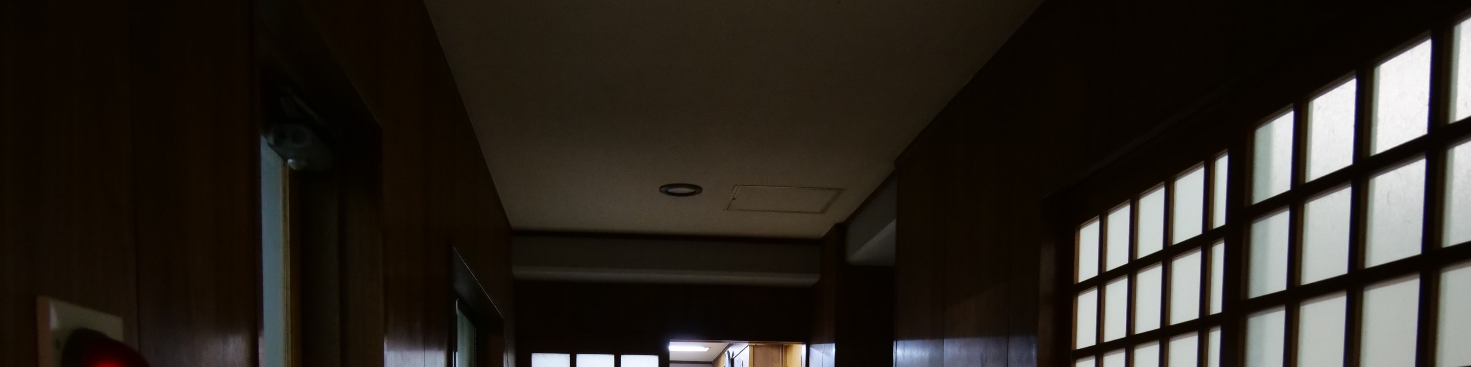 【東京晴空鎮】相撲選手晨練之旅