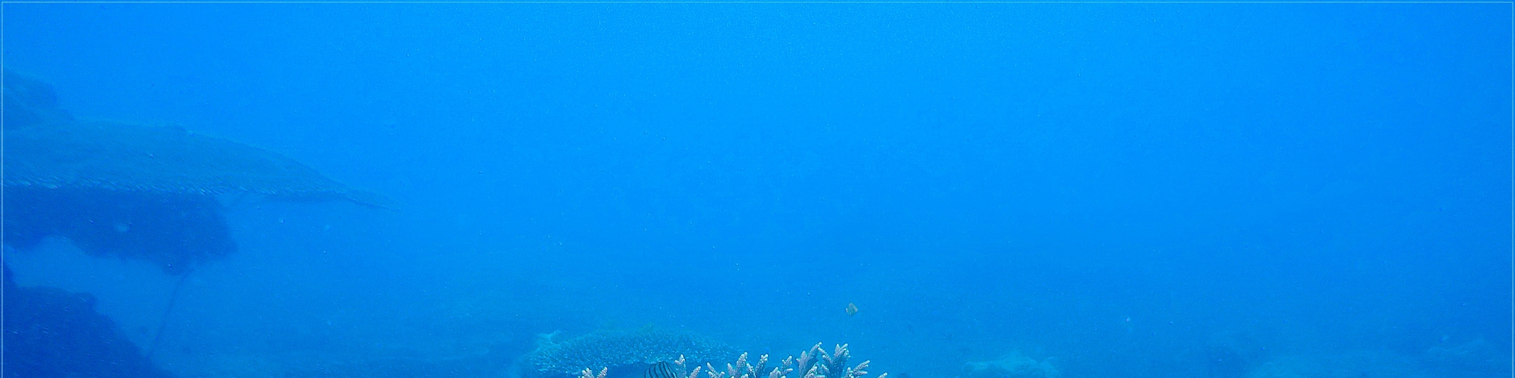 昆島4島跳島快艇之旅（含浮潛）