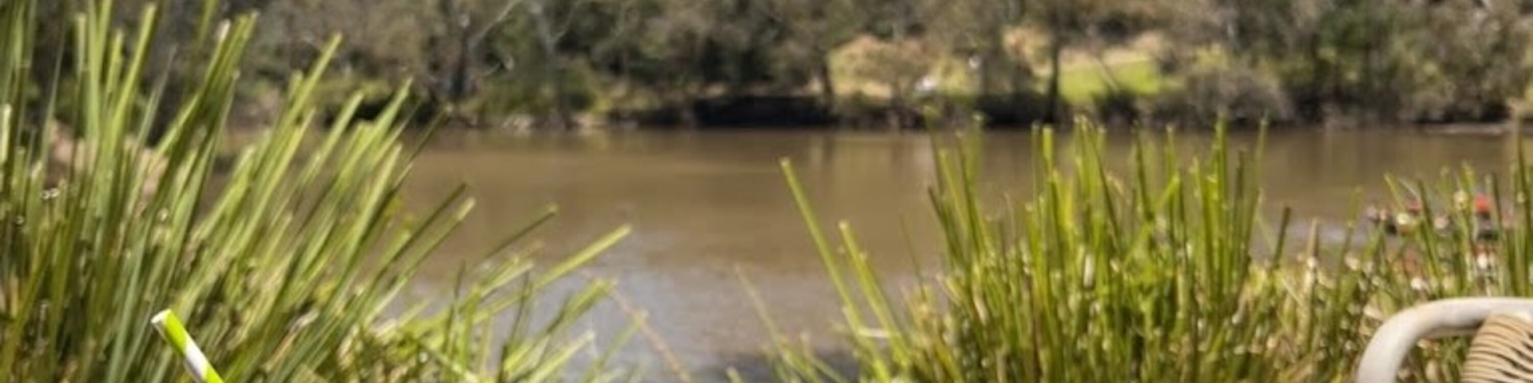 Yarra River Heritage Walk & Boathouse Lunch Experience