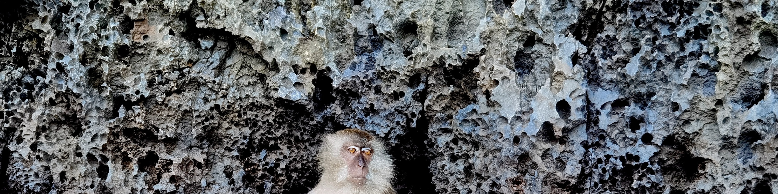 皮皮島 & 瑪雅灣日落快艇之旅（避開人群）