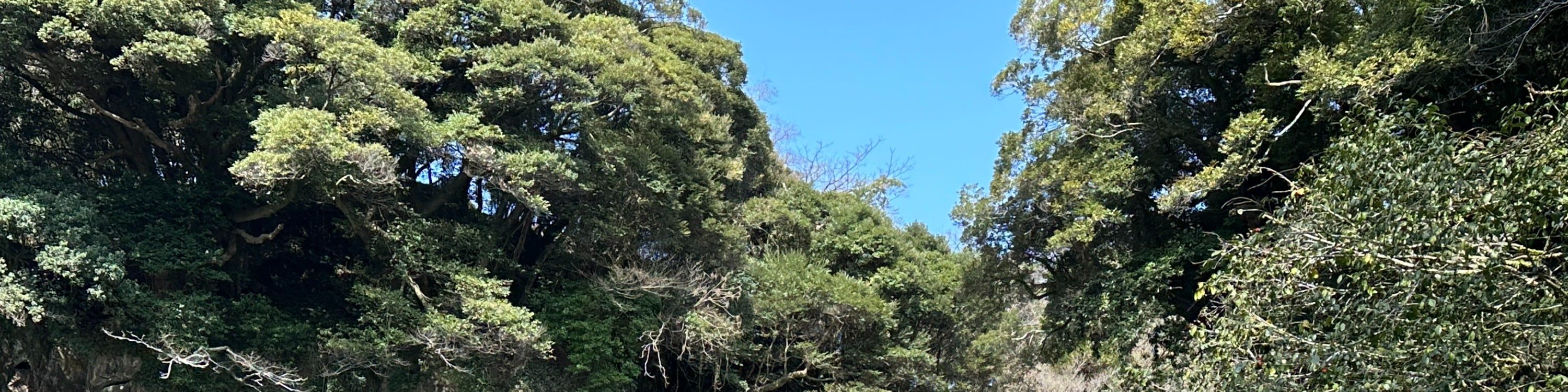 濟州療愈聯合國教科文組織小團體一日遊