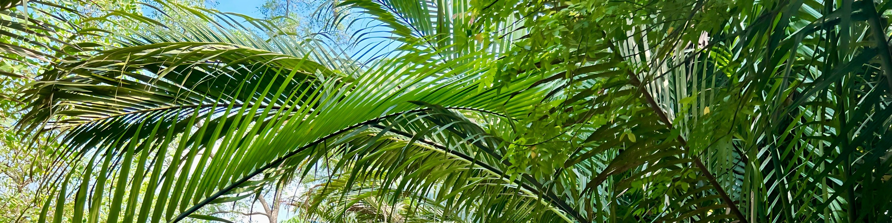 Mekong Delta Vietnam