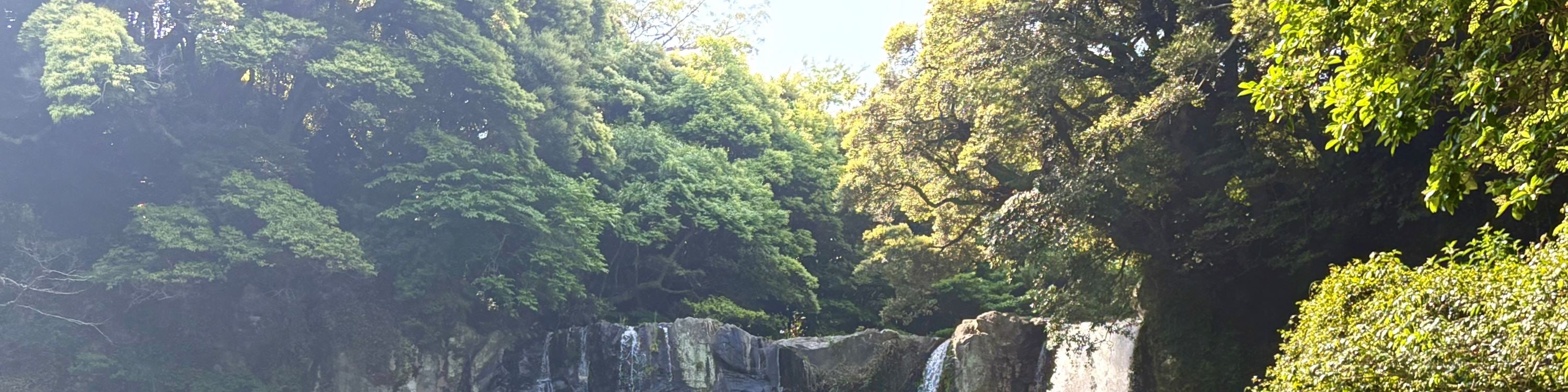 濟州賞櫻及草莓採摘小團一日遊