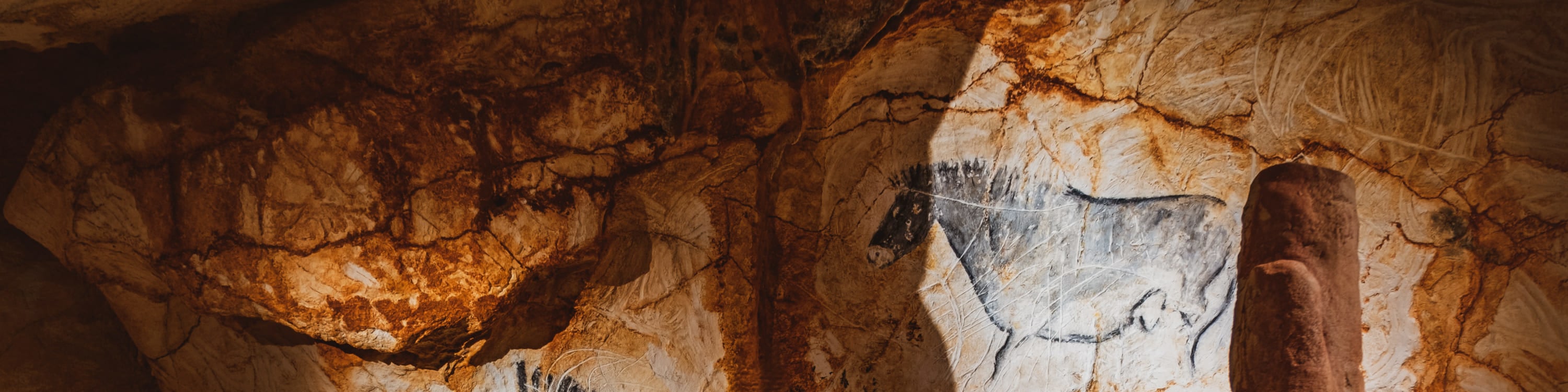 Cosquer Cave Ticket in Marseille