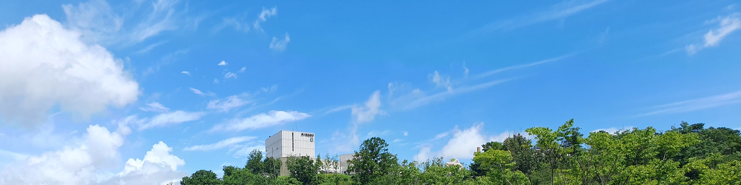 位於京畿道金浦市的愛妓峰和平生態公園內的愛妓峰吊橋，是韓國對和平與統一的渴望的辛酸象徵。
