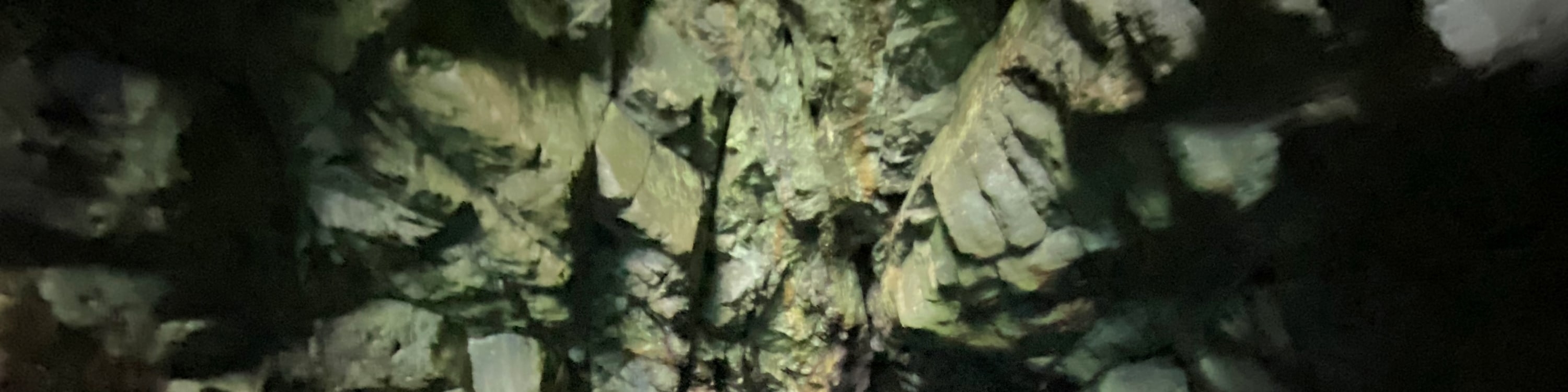 香港東龍島獨木舟探索特色洞穴生態團
