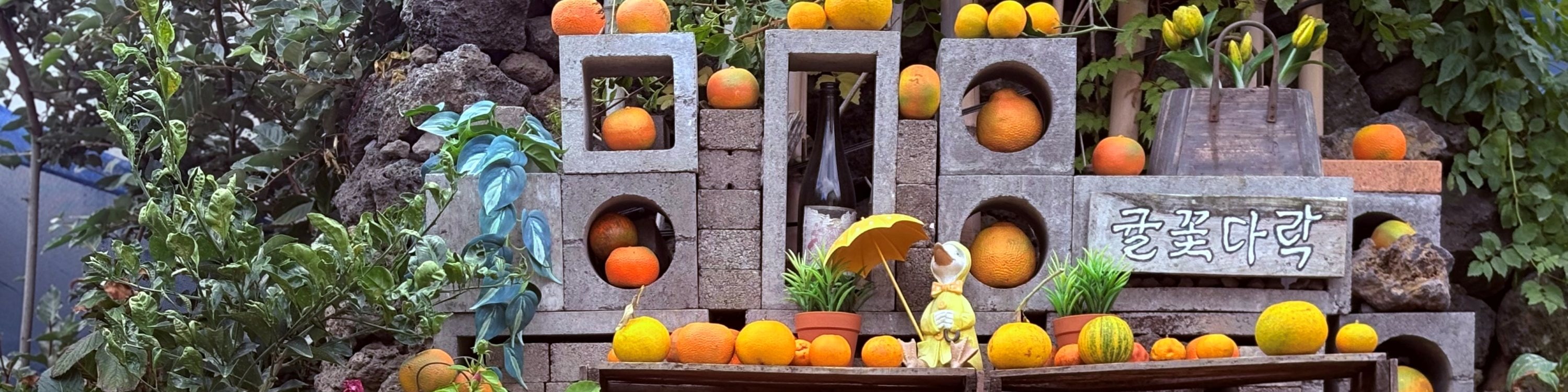 在咖啡館內和周圍的橘子農場,用您的Instagram照片捕捉柑橘風情的懷舊感。 在咖啡館內和周圍的橘子農場,用您的Instagram照片捕捉柑橘風情的懷舊感。
