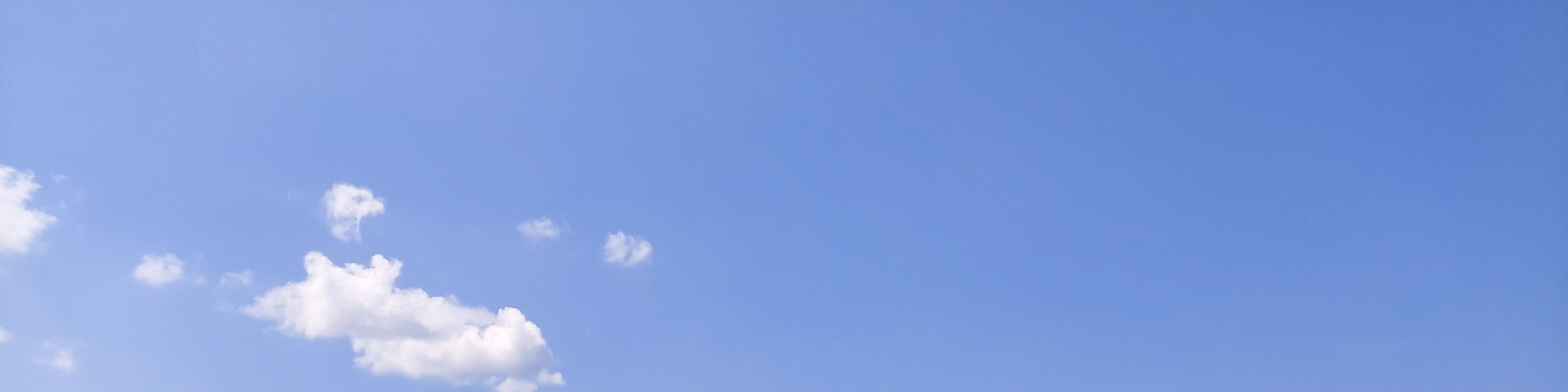 竹生島遊船長浜航線