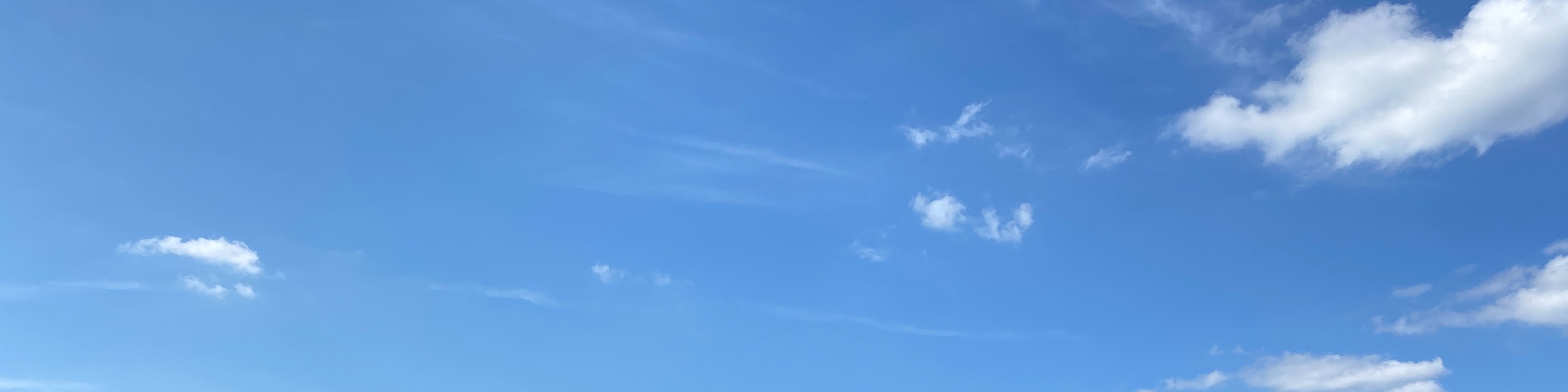 南投日月潭一日遊（含船票）
