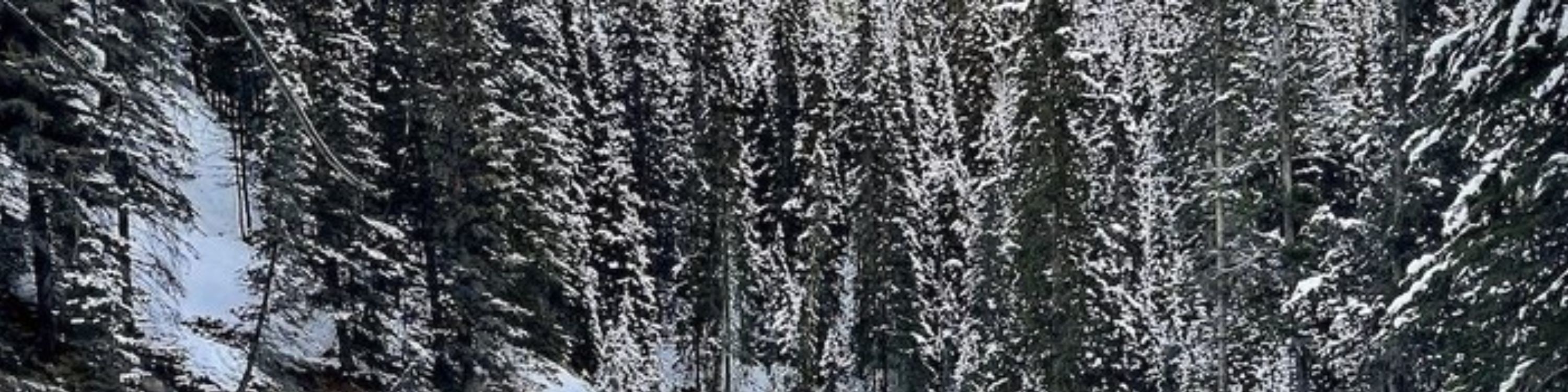 班夫強斯頓峽谷之旅 (Johnston Canyon Tour in Banff)