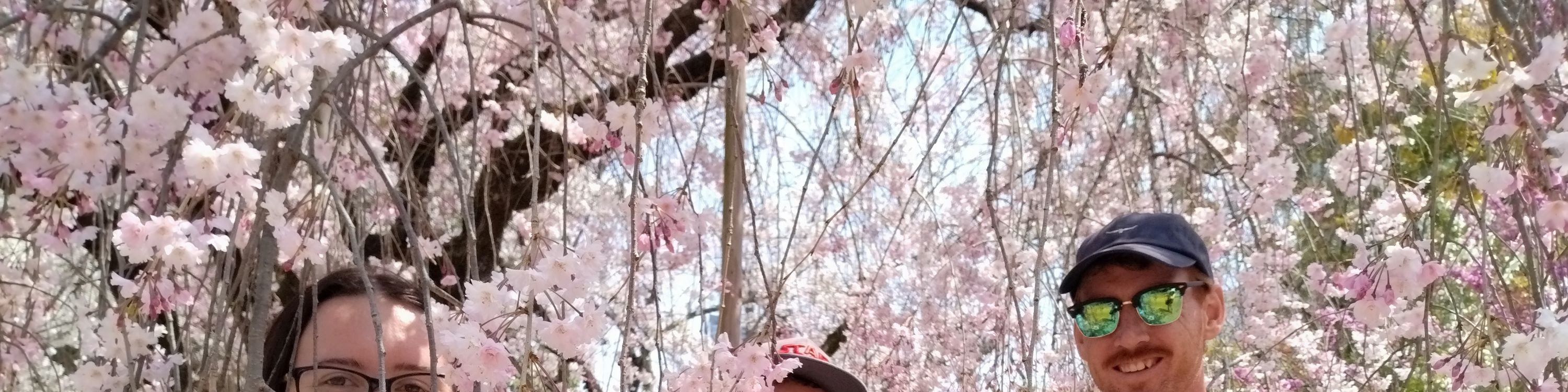 廣島 / 宮島一日私人遊