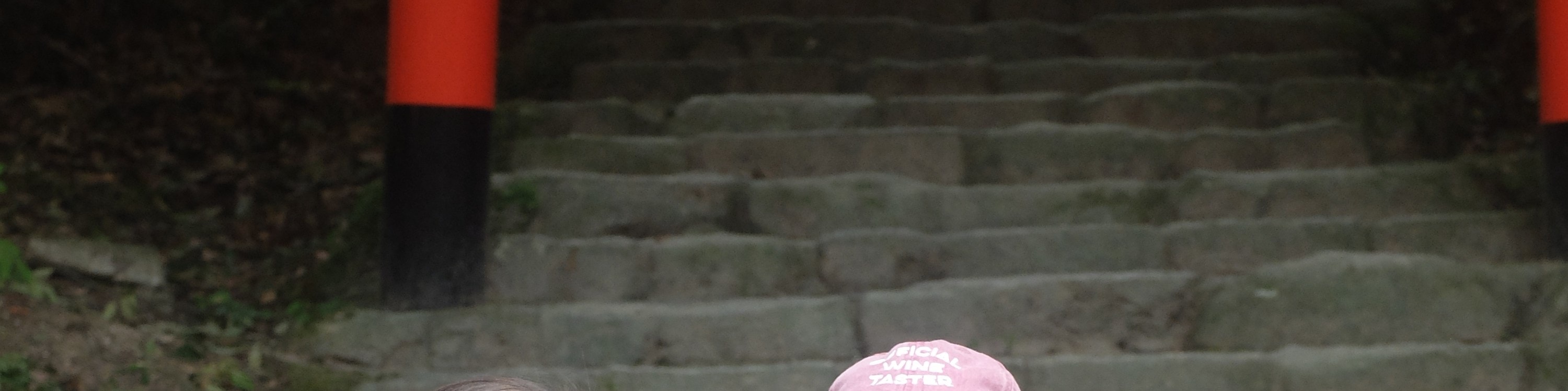 Kanazawa Walking Tour From Local to Major Highlights