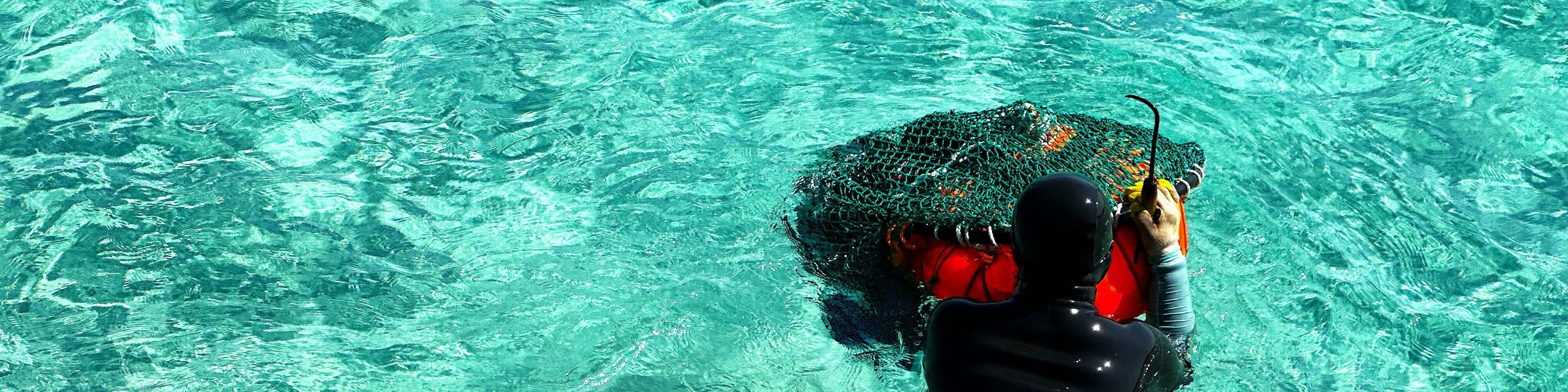 觀看真正的濟州海女潛入水中捕撈,將是欣賞她們聯合國教科文組織名錄文化的好機會。 觀看真正的濟州海女潛入水中捕撈,將是欣賞她們聯合國教科文組織名錄文化的好機會。