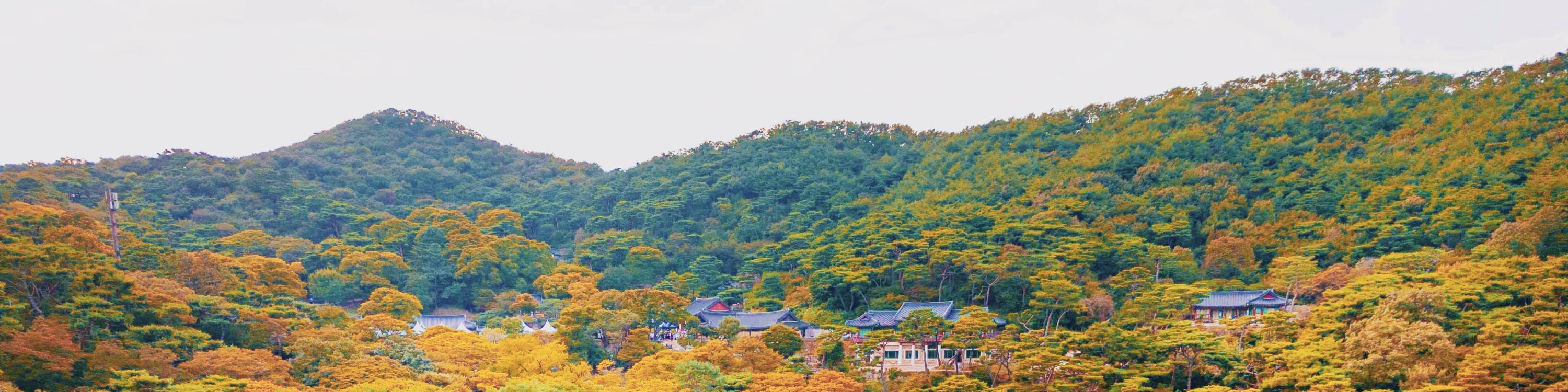 DMZ 非軍事區一日遊（首爾出發）