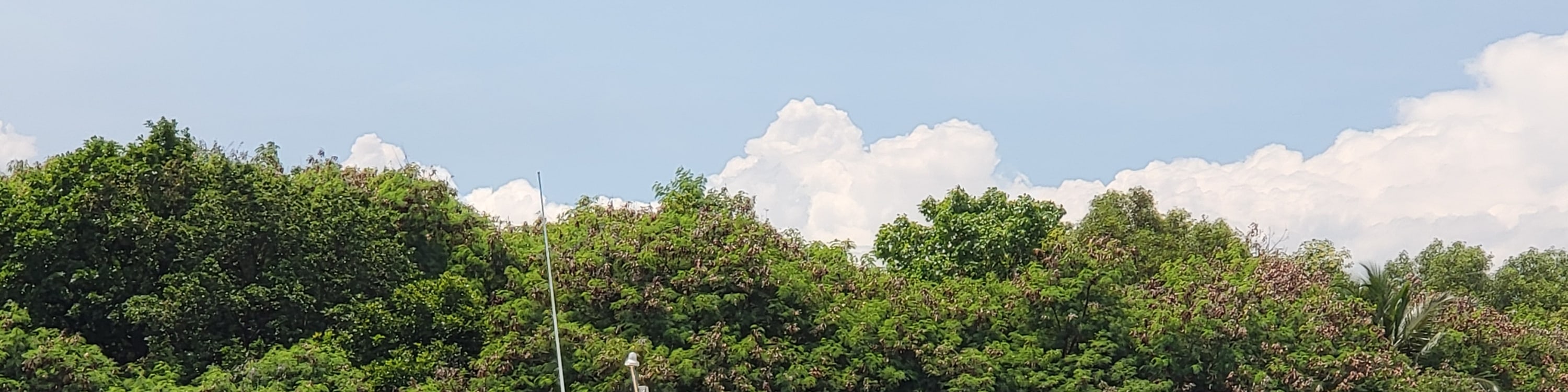 新加坡私人遊艇包船體驗（White Sails 提供）
